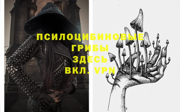 mdpv Пересвет