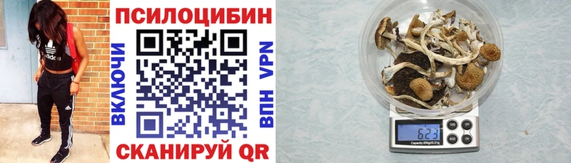 цены наркотик МЕГА tor Галлюциногенные грибы мухоморы Тимашёвск